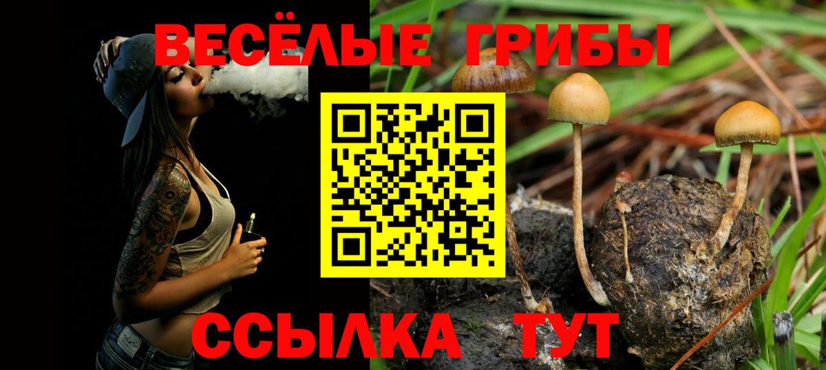 Галлюциногенные грибы мухоморы  Вход с VPN  Кушва 