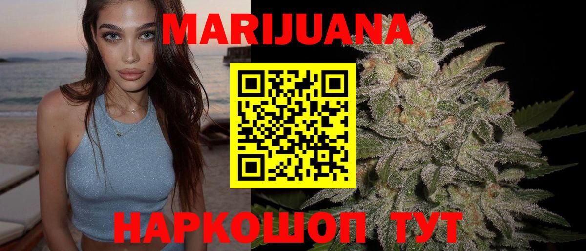 Каннабис планчик Кушва